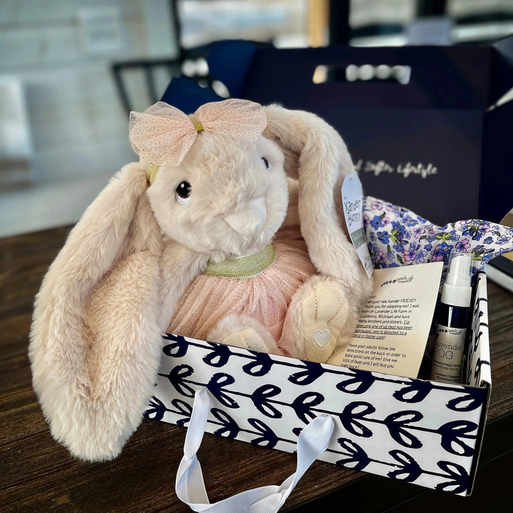 Xander Stuffed Bunny Gift Set - With Clothing & More