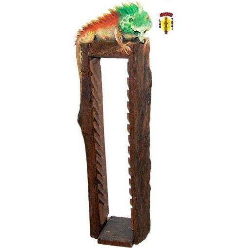 Iguana DVD-Game Case Display