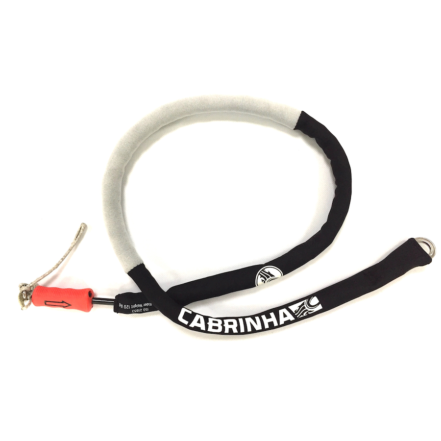 PRO LEASH