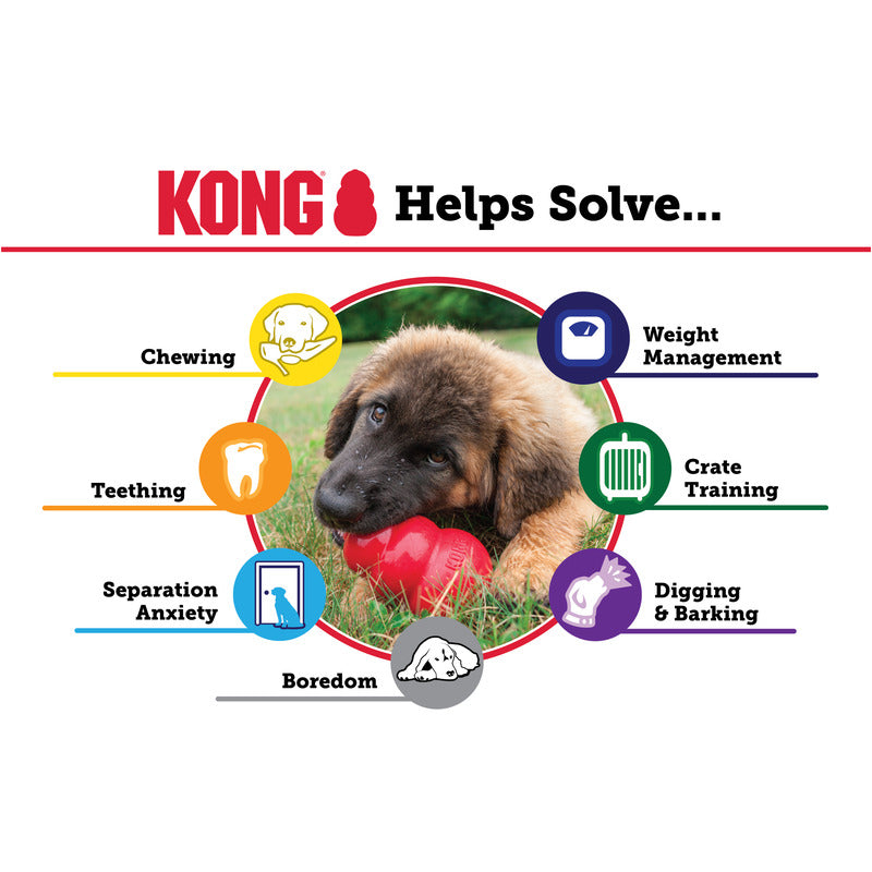 Kong Red Classic