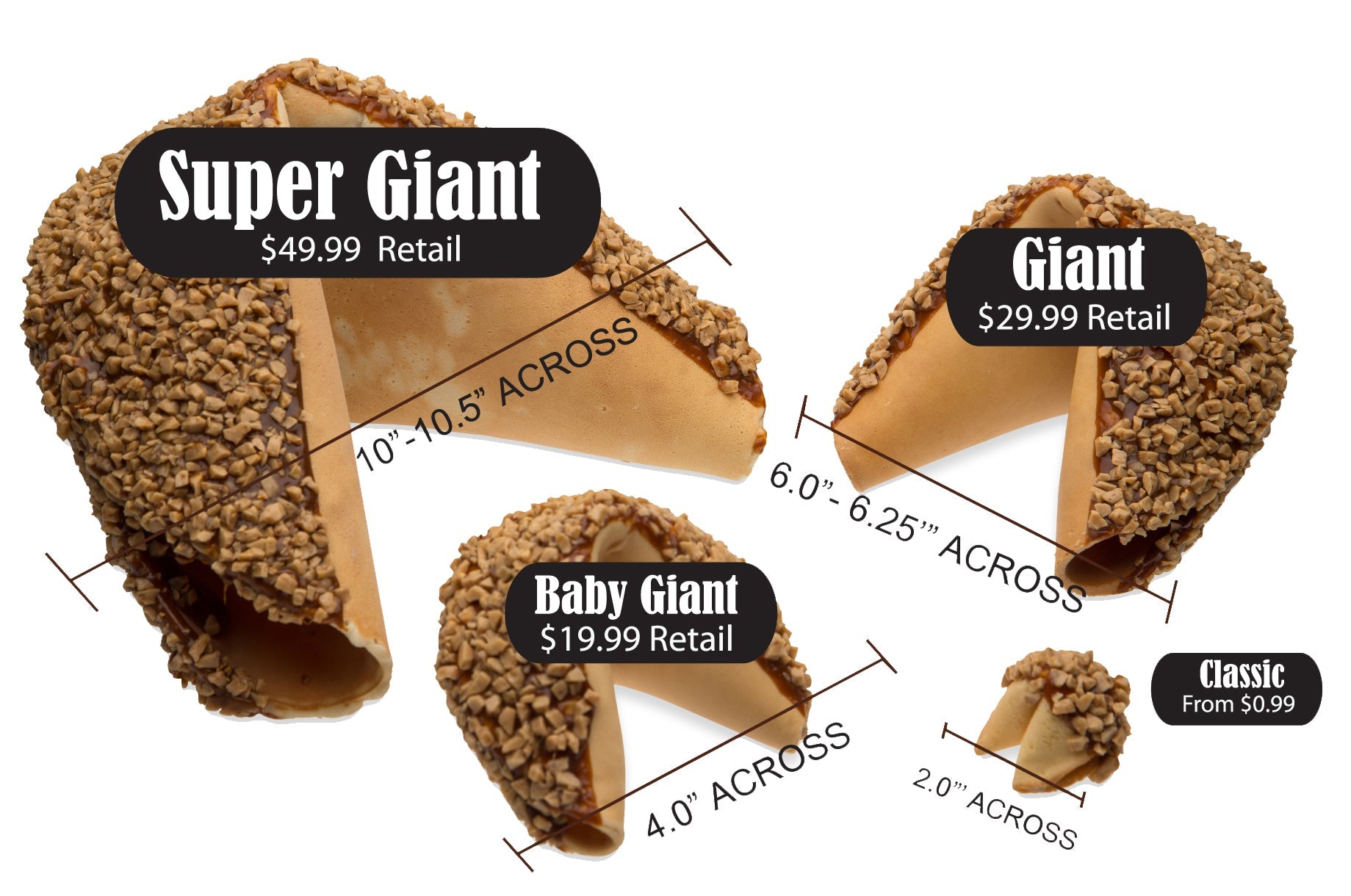Bat Mitzvah Giant Fortune Cookie