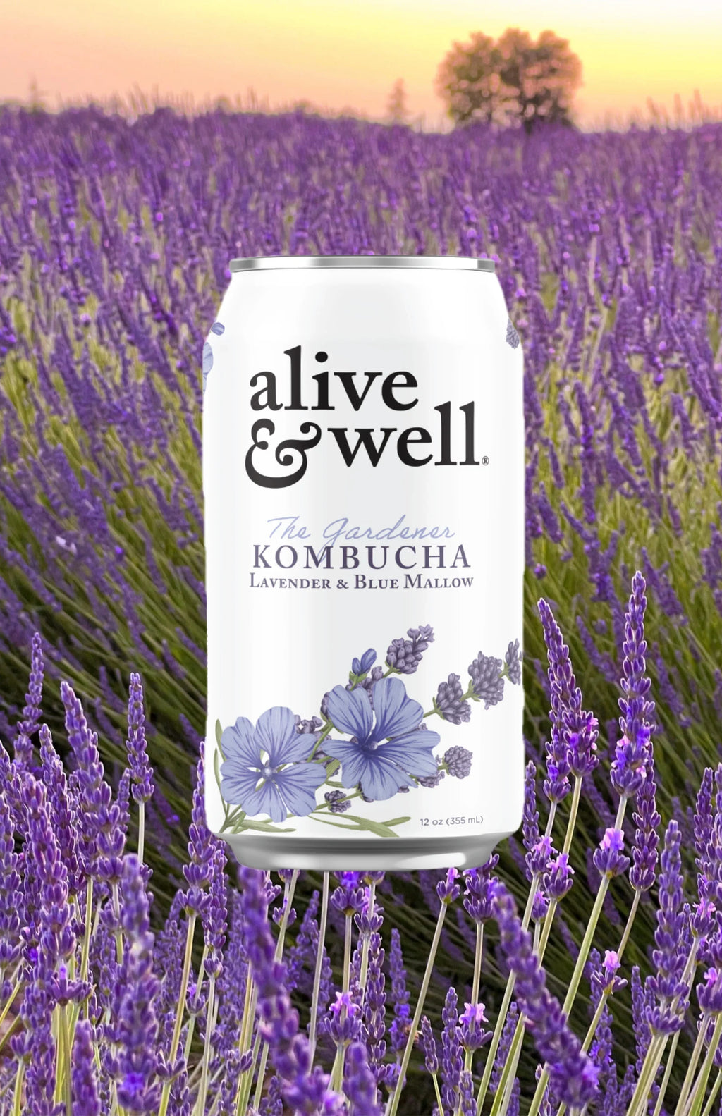 Lavender & Blue Mallow Kombucha Organic Bubble Goods