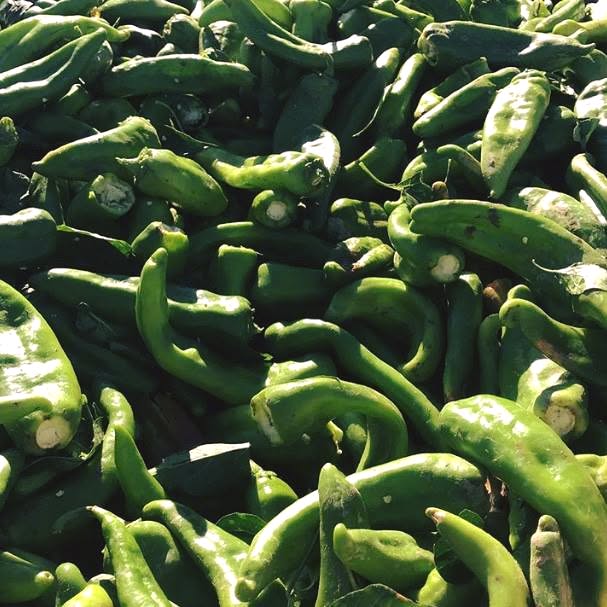 FRESH GREEN CHILE 2026 HARVEST PRE-ORDERS START JUNE 1ST = SAVE 10% OFF = HARVEST BEGINS AUGUST 2026
