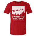 Christmas I Want To Believe WHT