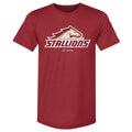 Birmingham Stallions Primary Logo WHT