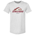 Birmingham Stallions Primary Logo