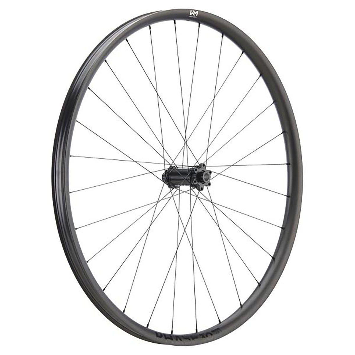 NEWMEN Front Wheel Phase 30 Light - 29" 28h FADE SP 6B 15x110 - XC