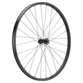NEWMEN - Wheel (Rear) - Forge 30 Light | Cross Country - [D]