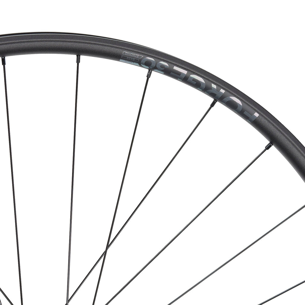 NEWMEN Front Wheel - Forge 30 light 29" 28h FADE SP 6B 15x110 - XC