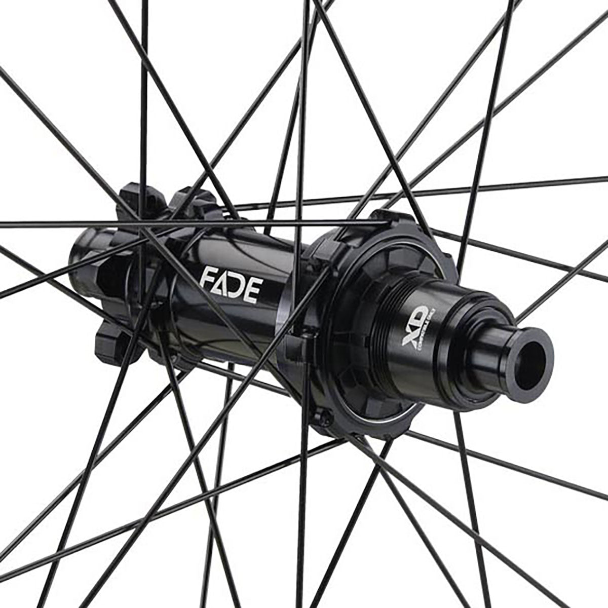 NEWMEN - Wheel (Rear) - Phase 30 Light | Cross Country - [D]