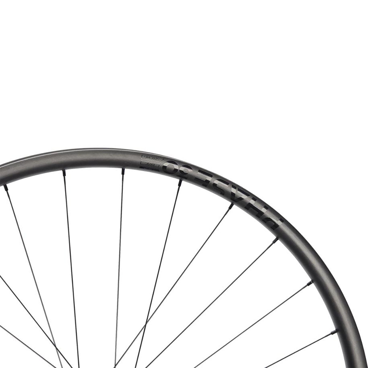 NEWMEN - Wheel (Rear) - Phase 30 Light | Cross Country - [D]