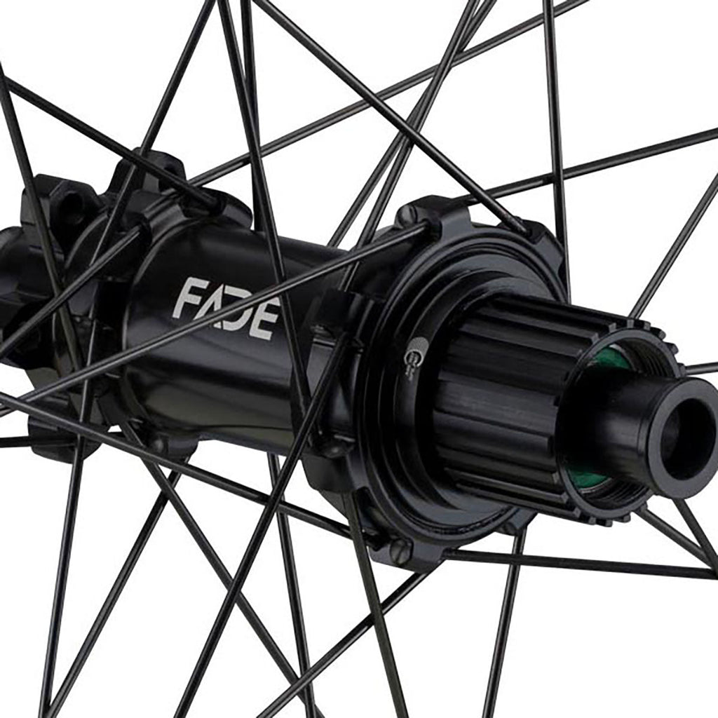NEWMEN - Wheel (Rear) - Phase 30 Strong | Enduro - [D]