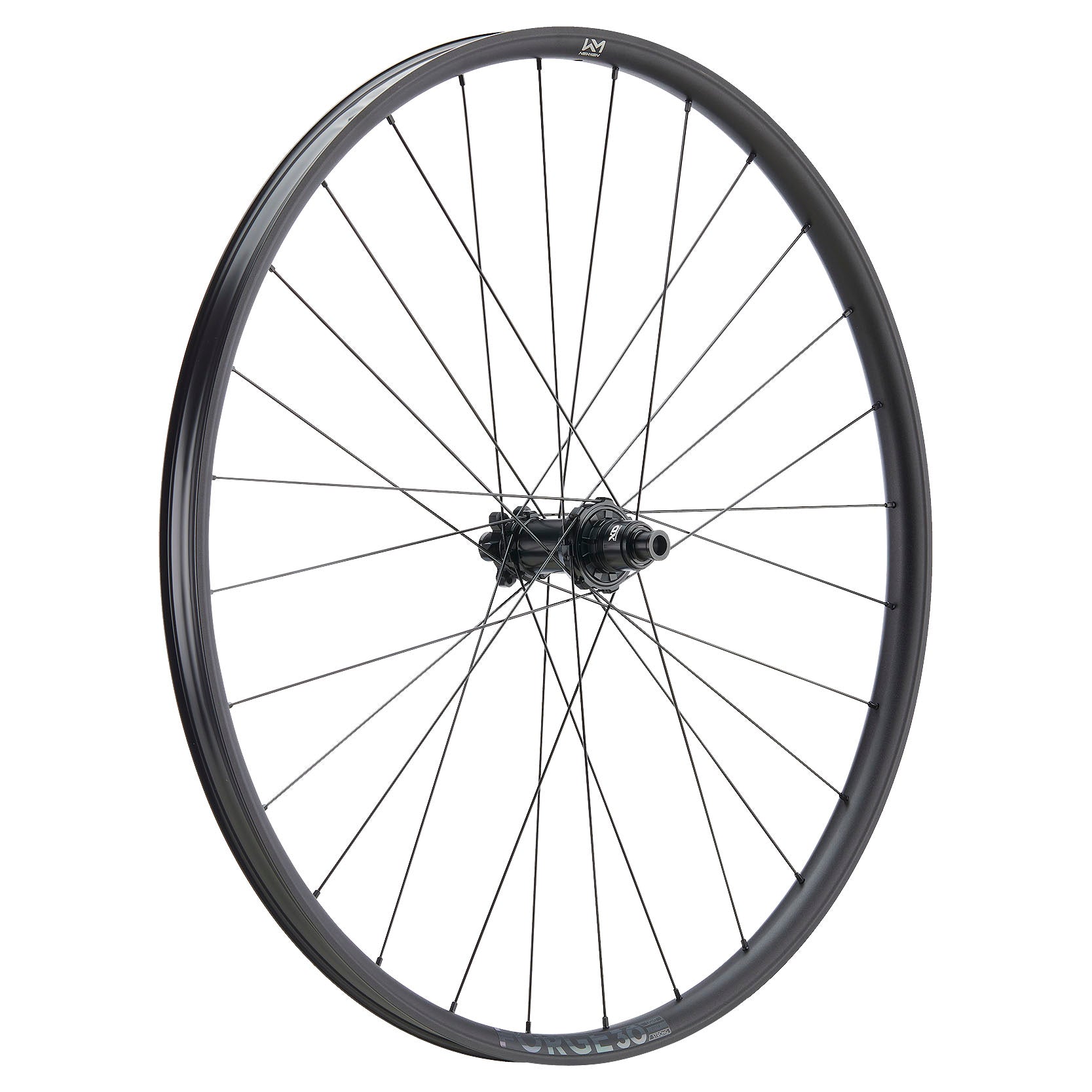 NEWMEN Rear Wheel - Forge 30 base 29" 28h FADE SP 6B 12x148 XD - Trail