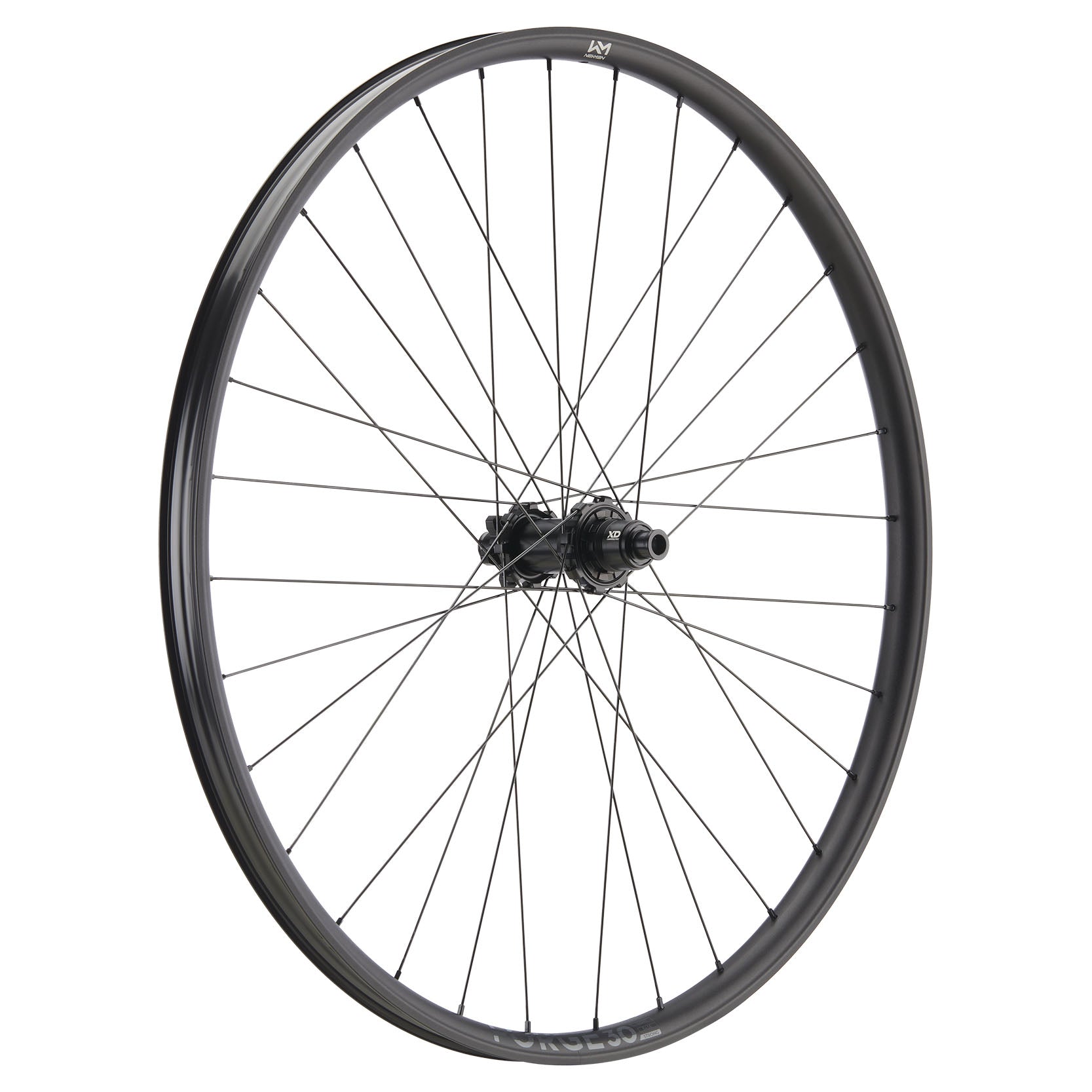 NEWMEN - Wheel (Front) - Forge 30 Strong | Enduro - [D]