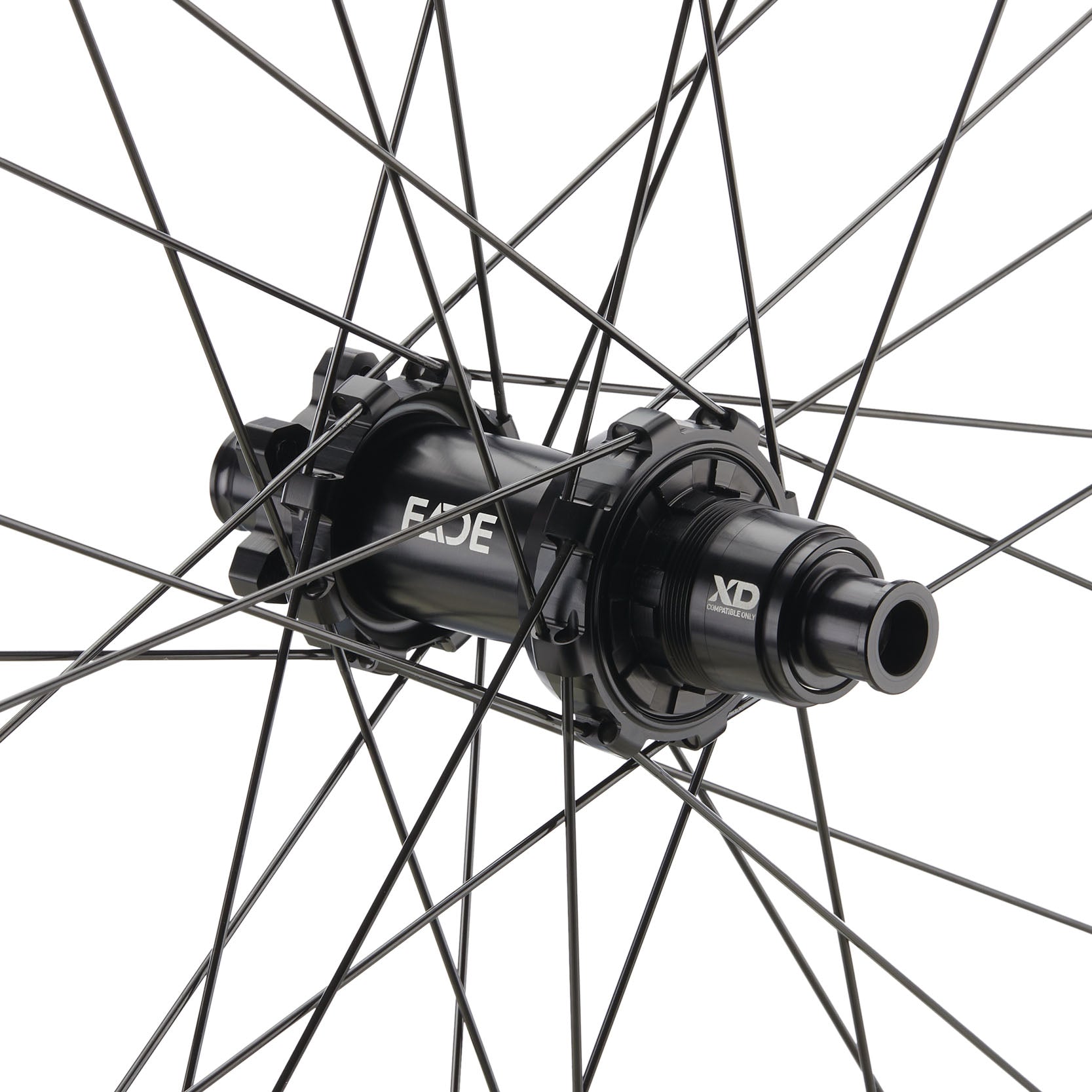 NEWMEN - Wheel (Rear) - Forge 30 Light | Cross Country - [D]