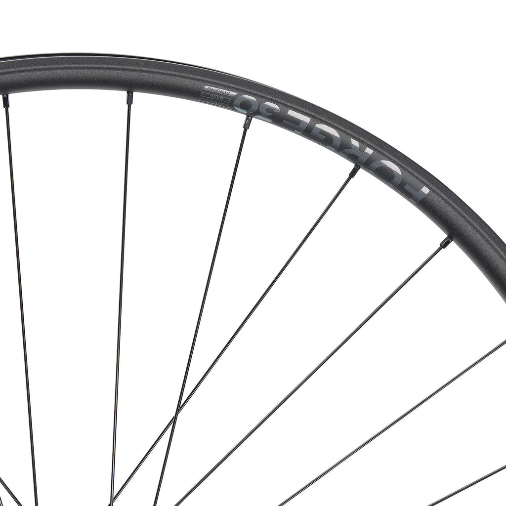 NEWMEN Rear Wheel - Forge 30 strong 29" 32h FADE SP 6B 12x148 XD - Enduro