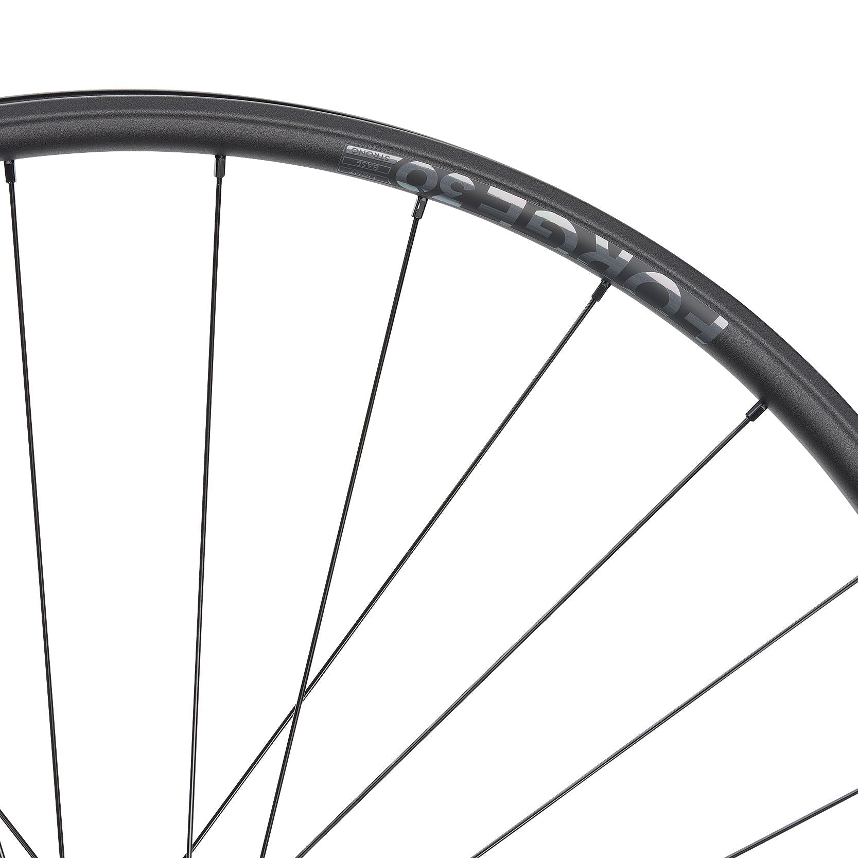 NEWMEN - Wheel (Front) - Forge 30 Strong | Enduro - [D]