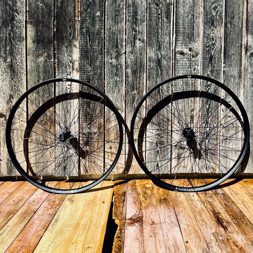 NEWMEN - Wheel (Rear) - Forge 30 Strong | Enduro - [D]