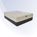 Ace Hotel Mattress