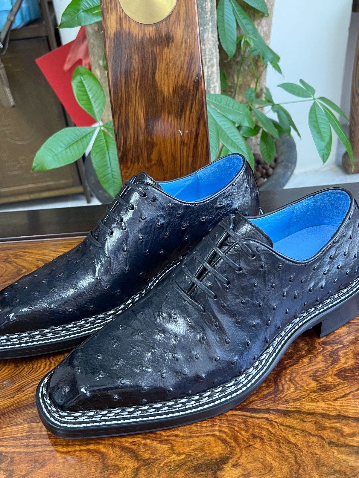 Style: Ostrich Lover-Navy