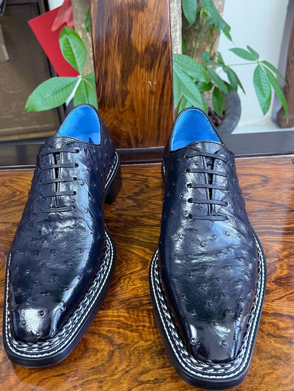 Style: Ostrich Lover-Navy