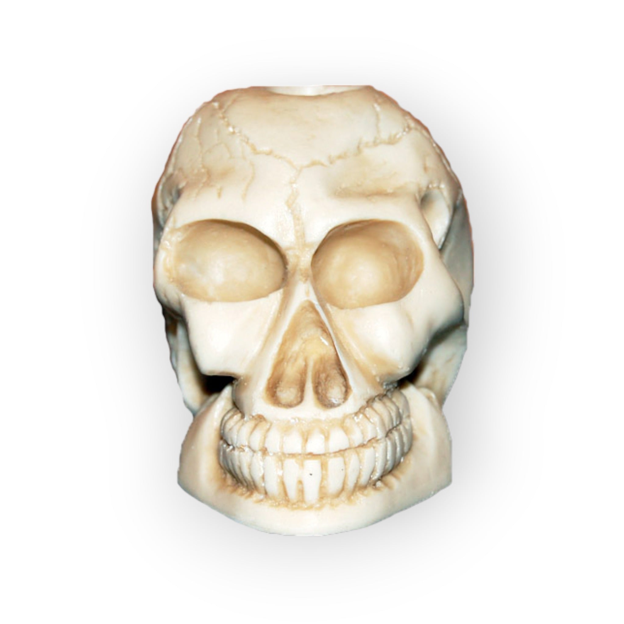 White Skull Candle Holder