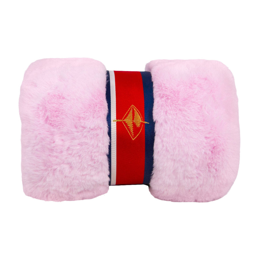 Ballet Slippers on Pink Baby Blanket