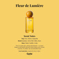 Caché - Fleur de Lumière