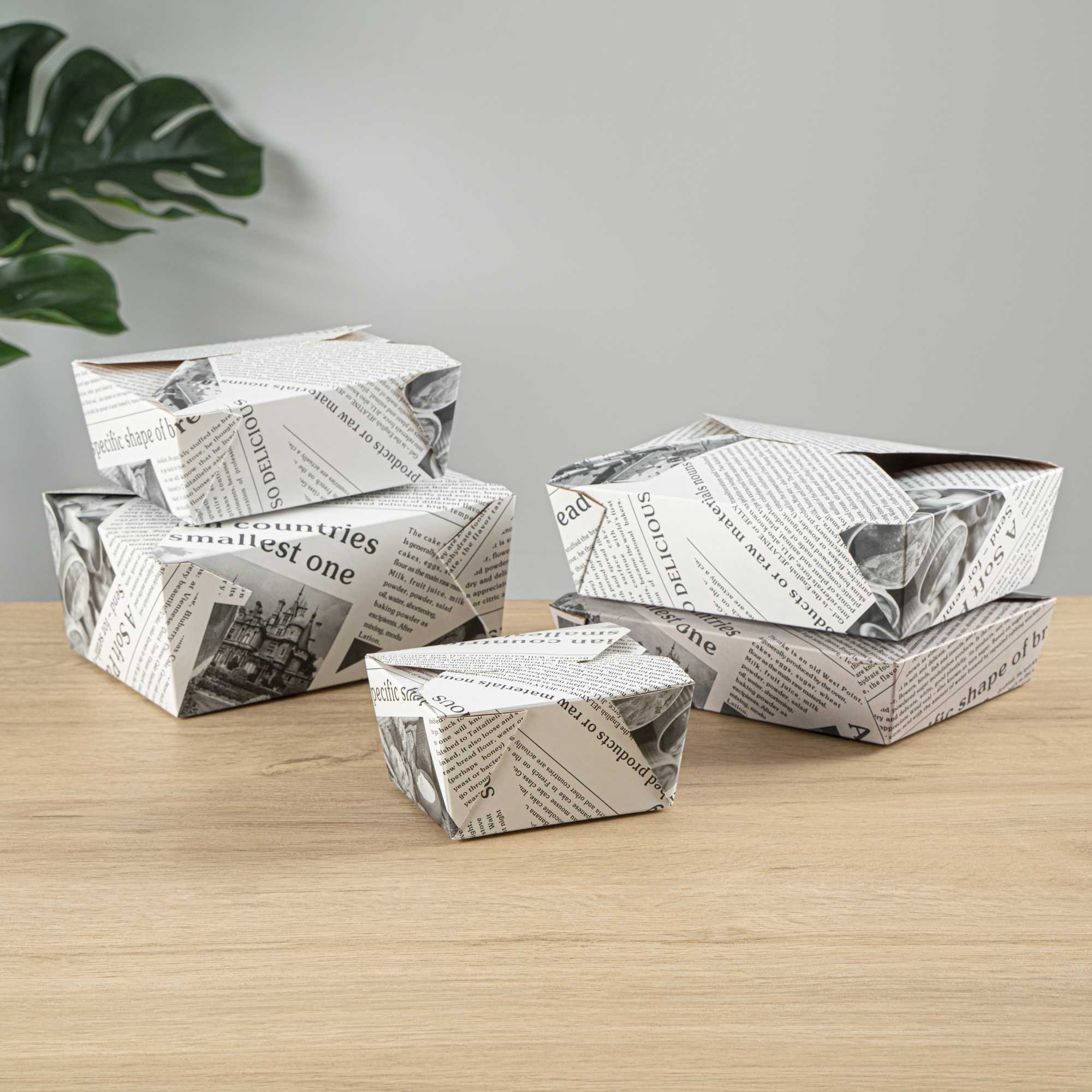 Bio Tek 30 oz Rectangle Newsprint Paper #1 Bio Box Take Out Container - 5" x 4" x 2 1/2" - 50 count box
