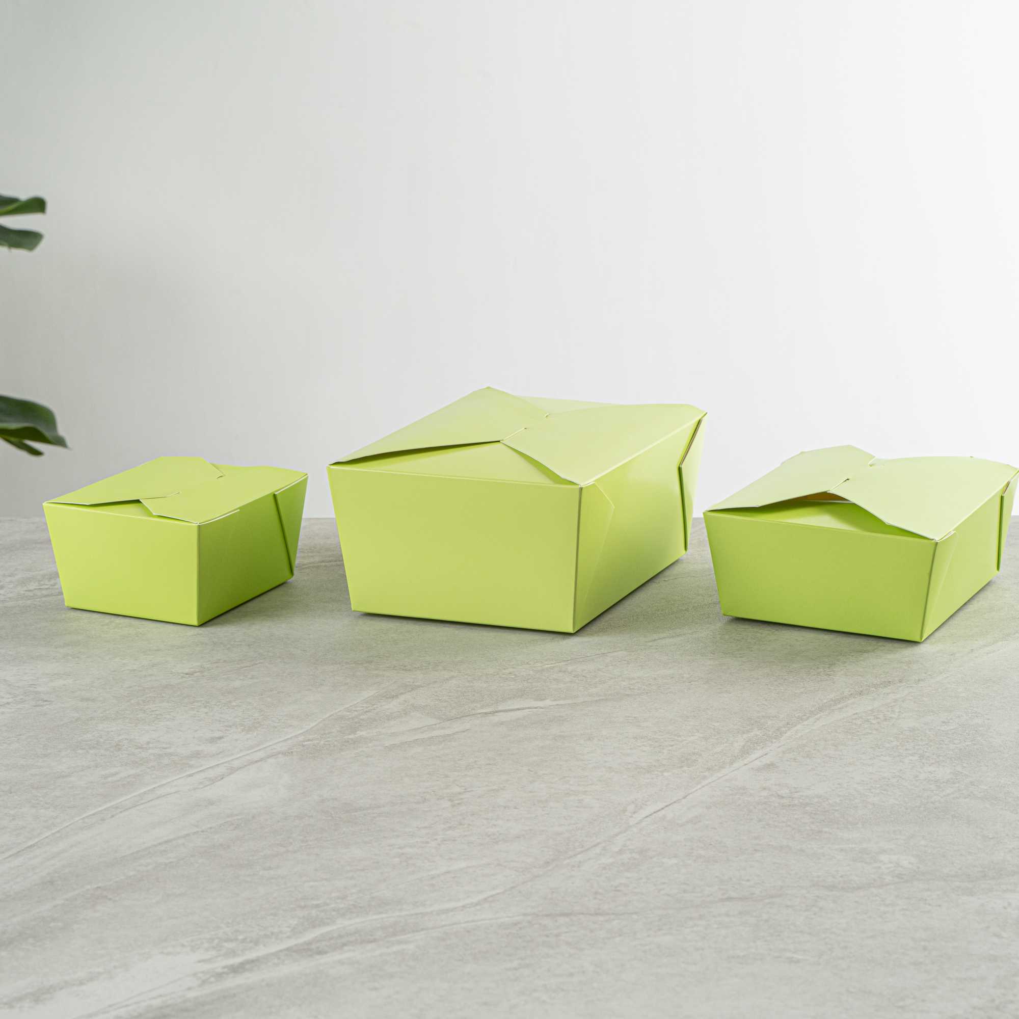 Bio Tek 98 oz Rectangle Eco Green Paper #4 Bio Box Take Out Container - 8 1/2" x 6 1/4" x 3 1/2" - 50 count box