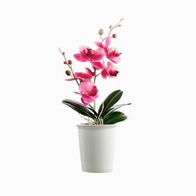 Fiore Round Purple Plastic Orchid in Porcelain Pot - 5 Blooms - 4" x 4" x 14" - 12 count box