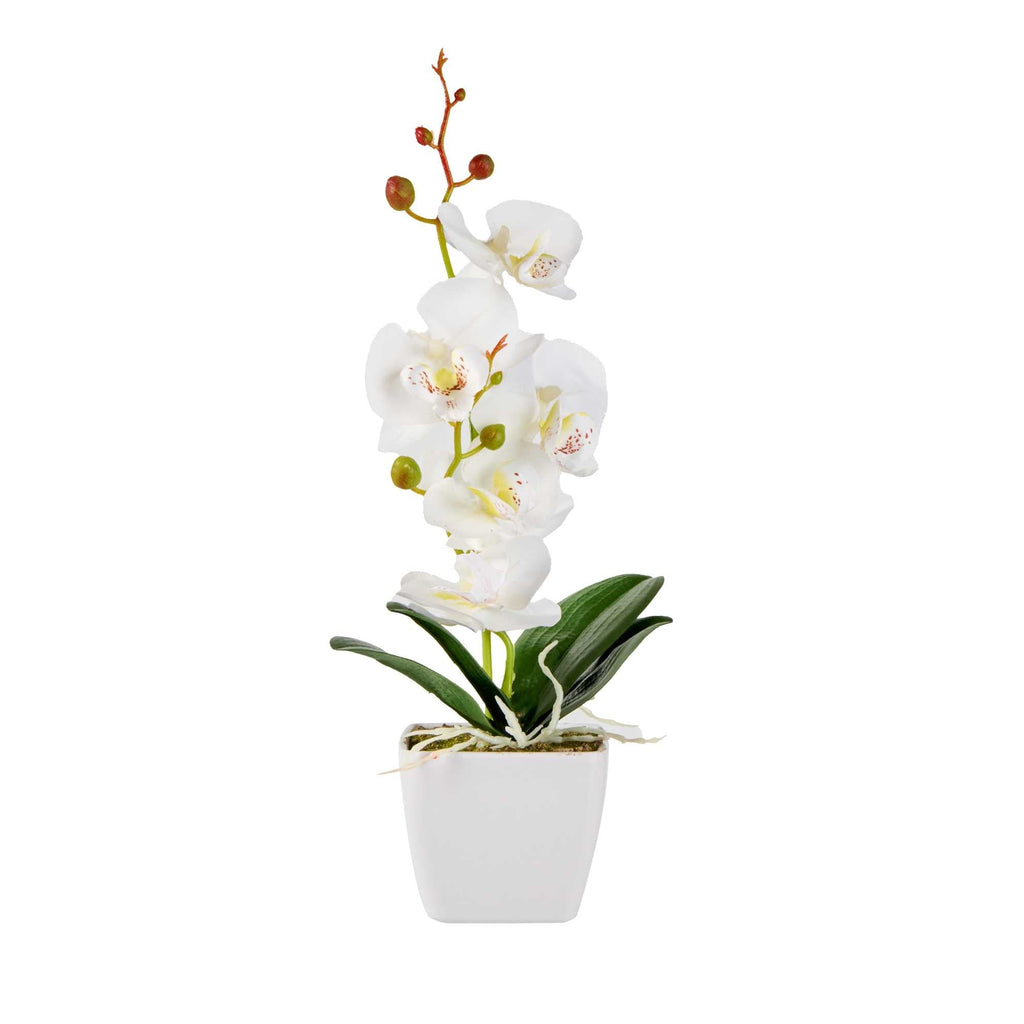 Fiore White Plastic Orchid in Plastic Pot - 5 blooms - 4" x 4" x 13" - 1 count box