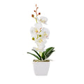 Fiore White Plastic Orchid in Plastic Pot - 5 Blooms - 4" x 4" x 13" - 12 count box