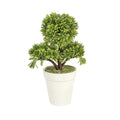 Fiore Green Plastic Petite Green Tree in Plastic Pot - 7" x 4" x 11" - 1 count box