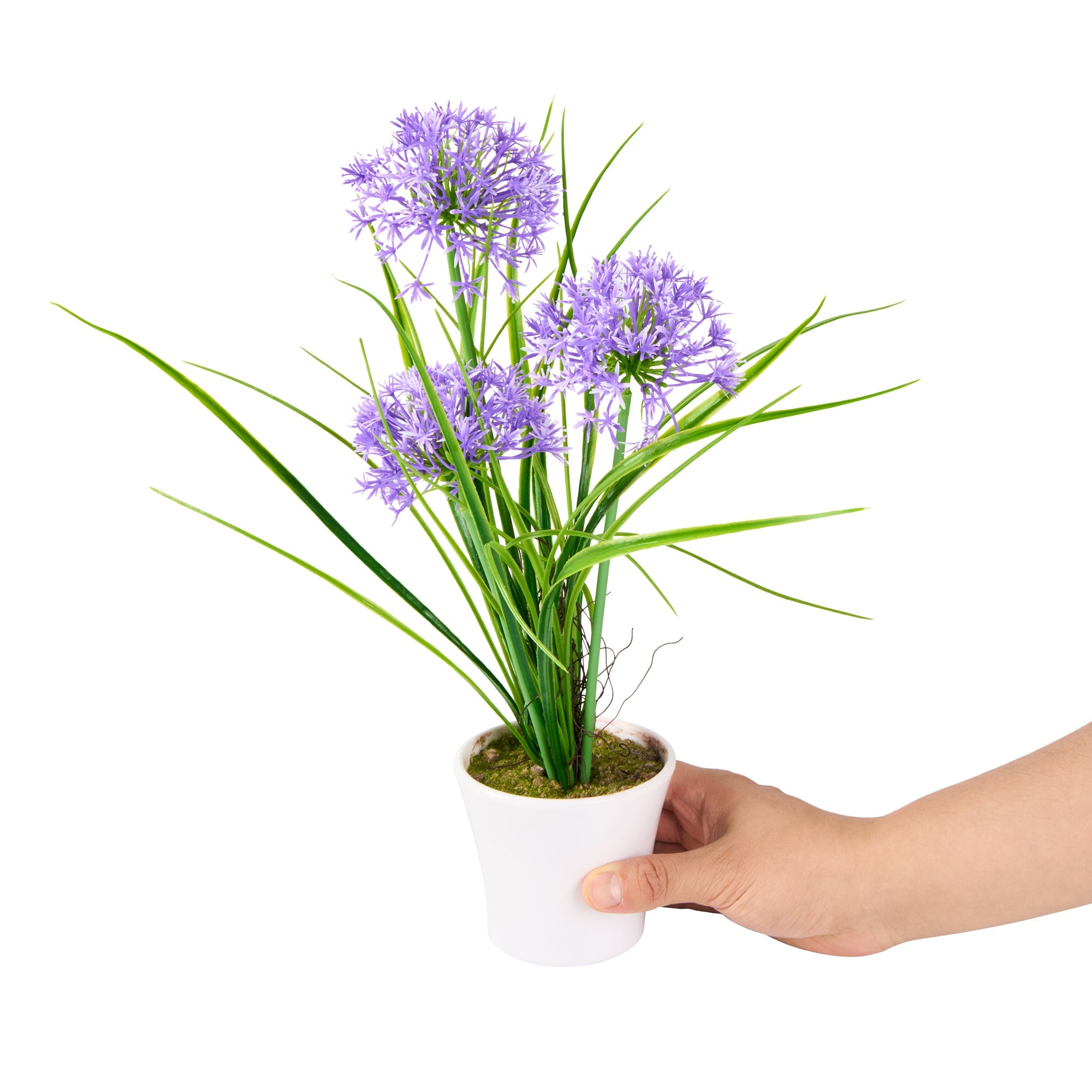 Fiore Round Violet Plastic Violet Allium in Plastic Pot - 4" x 4" x 14" - 12 count box