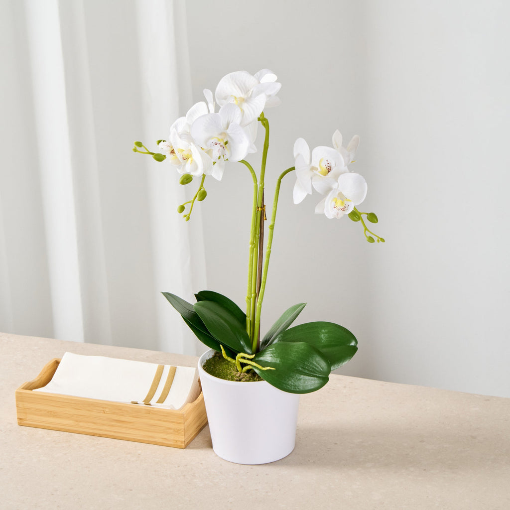 Fiore White Plastic Orchid in Plastic Pot - 12 Blooms - 5 1/2" x 5 1/2" x 19" - 6 count box