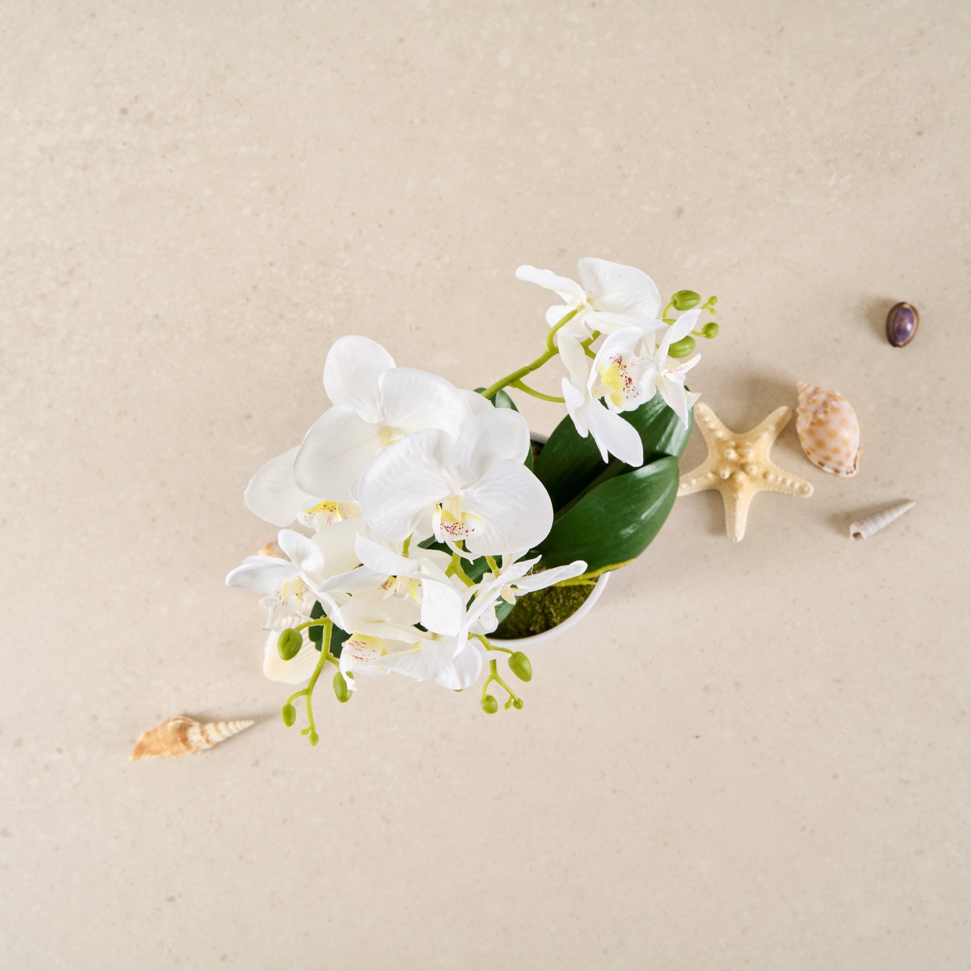 Fiore White Plastic Orchid in Plastic Pot - 12 Blooms - 5 1/2" x 5 1/2" x 19" - 6 count box