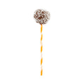 Pastry Tek Orange Paper Cake Pop and Lollipop Stick - Spirals, Biodegradable - 6" x 5/32" - 25 count box