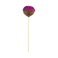 Pastry Tek Yellow Paper Cake Pop and Lollipop Stick - Polka Dots, Biodegradable - 6" x 5/32" - 25 count box