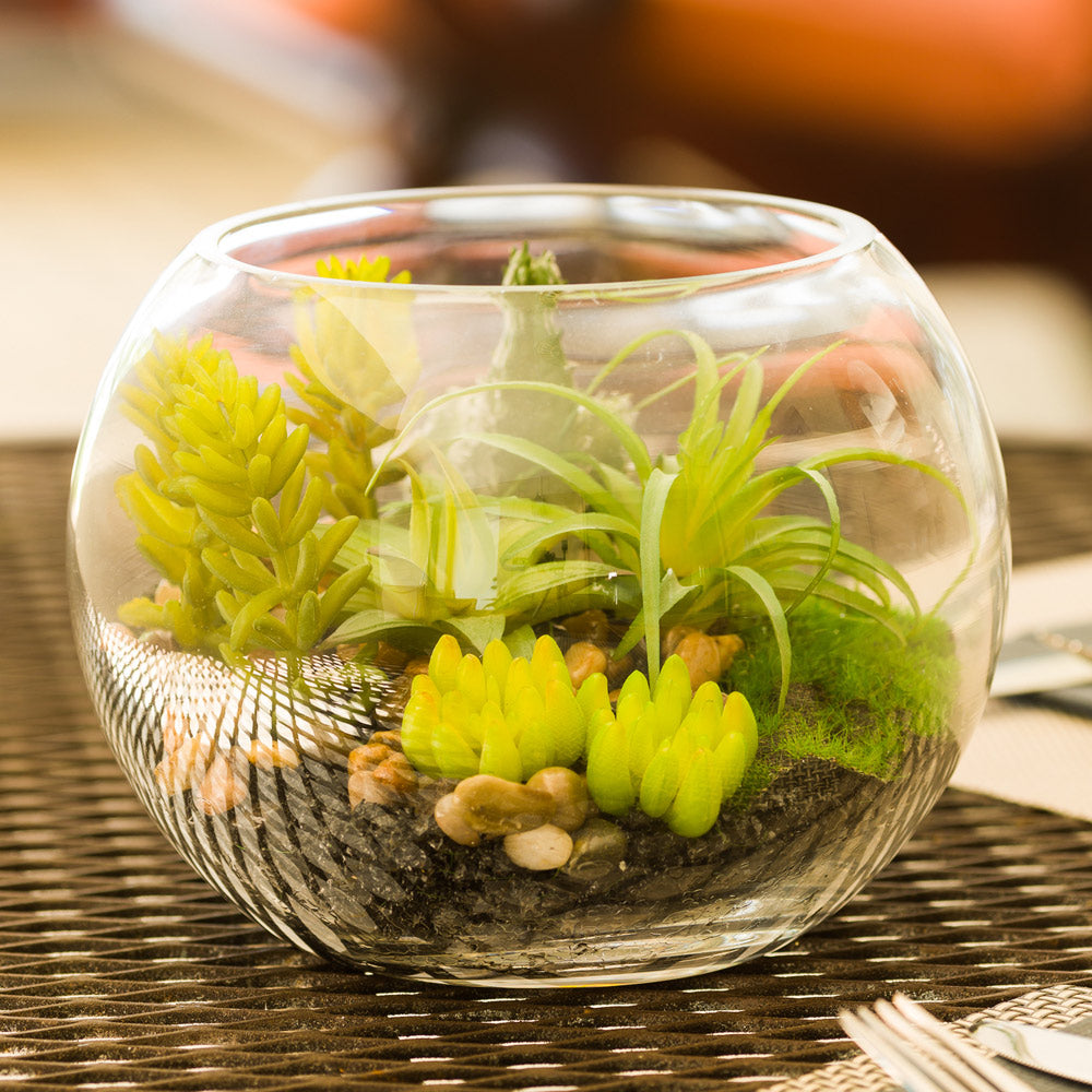 Plastic Table Art Faux Succulent Arrangement - Fishbowl Glass Terrarium - 7" x 7" x 5 1/2" - 1 count box