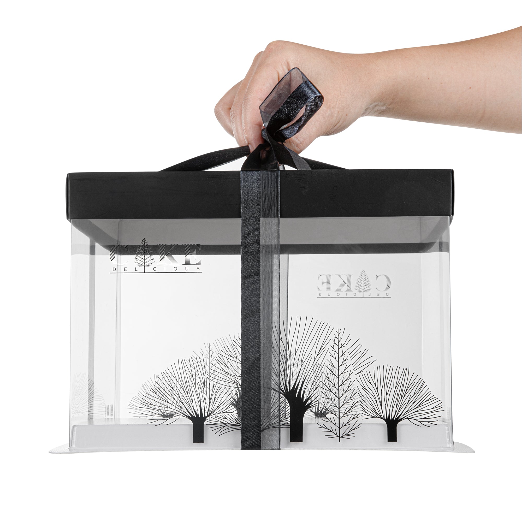 Sweet Vision Square Clear Plastic Cake Box - Black Lid and White Base, Black Ribbon, Tree Accent - 8 1/2" x 8 1/2" x 6 3/4" - 10 count box