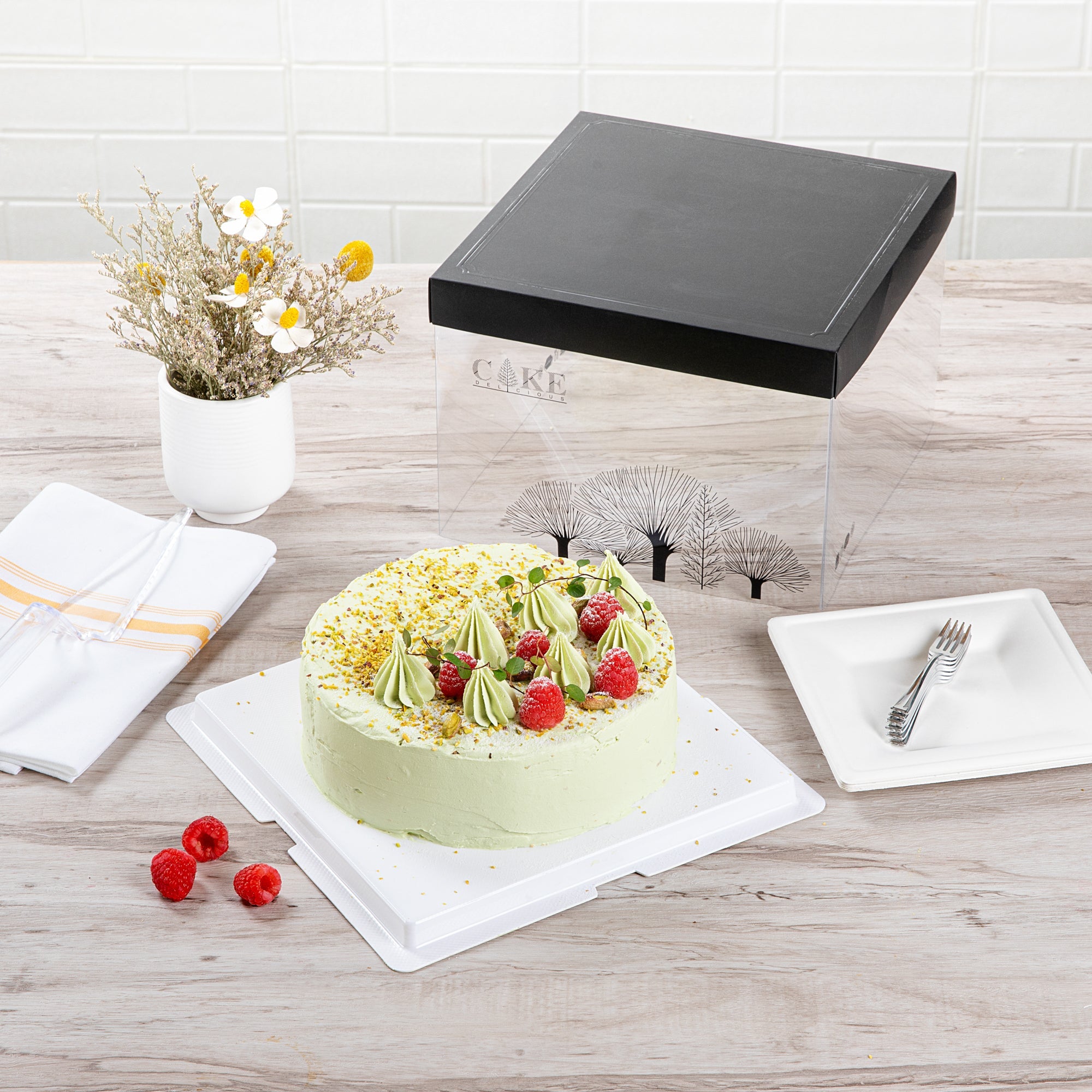 Sweet Vision Square Clear Plastic Cake Box - Black Lid and White Base, Black Ribbon, Tree Accent - 8 1/2" x 8 1/2" x 6 3/4" - 10 count box