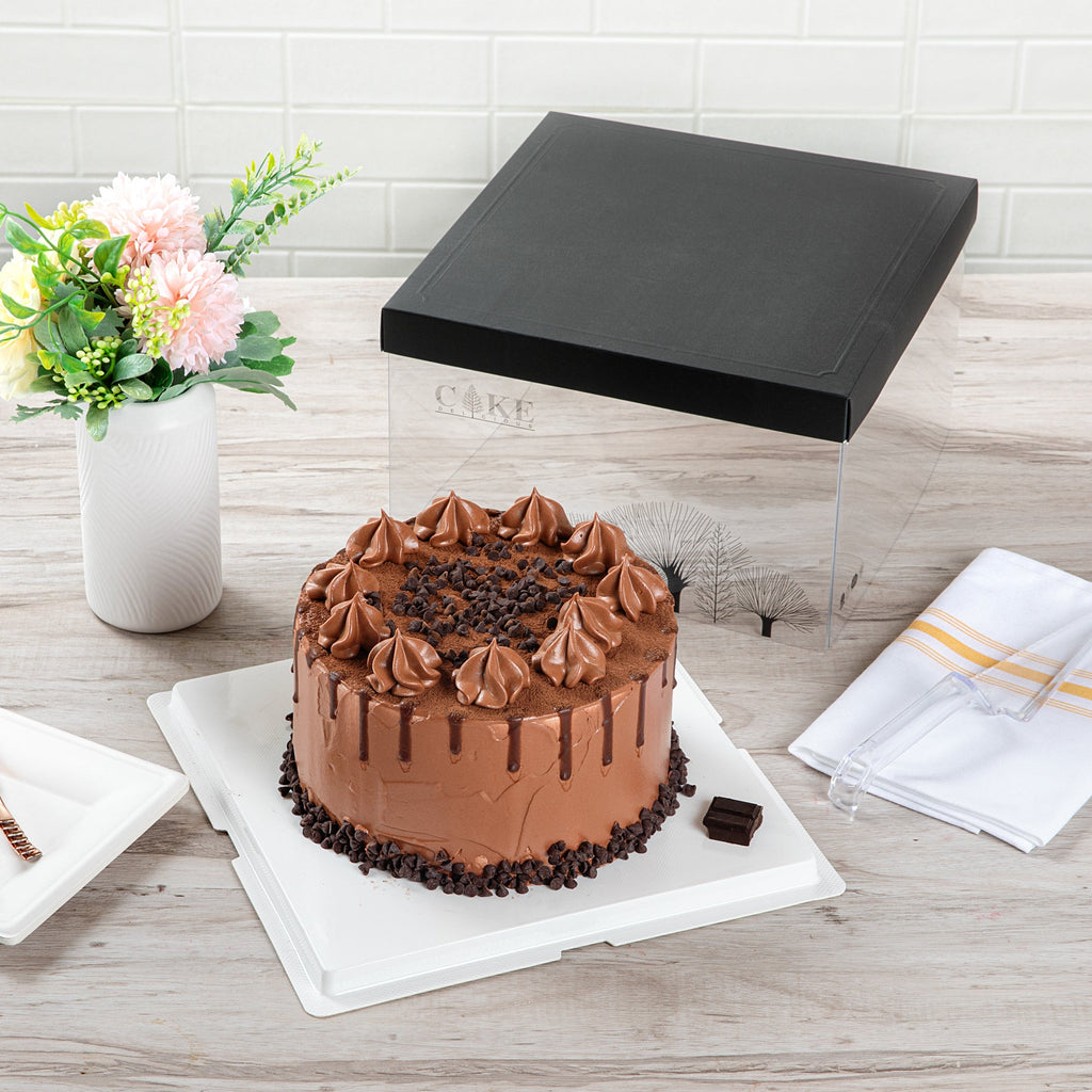 Sweet Vision Square Clear Plastic Cake Box - Black Lid and White Base, Black Ribbon, Tree Accent - 10" x 10" x 8 1/4" - 10 count box