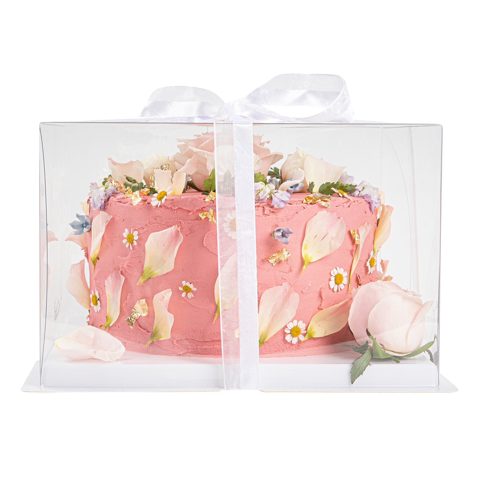 Sweet Vision Square Clear Plastic Cake Box - White Base, Gray Ribbon - 10" x 10" x 6 3/4" - 10 count box