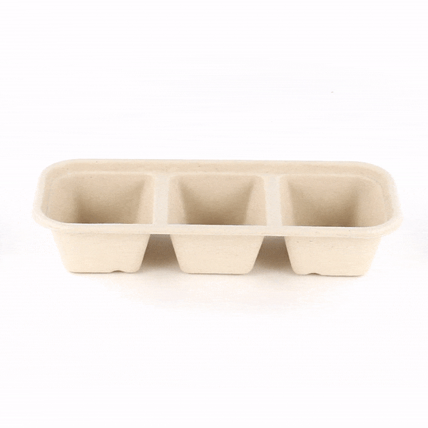 Pulp Tek 17 oz Rectangle Natural Sugarcane / Bagasse Catering Container - 3-Compartment - 9 1/4" x 3 3/4" x 1 3/4" - 100 count box
