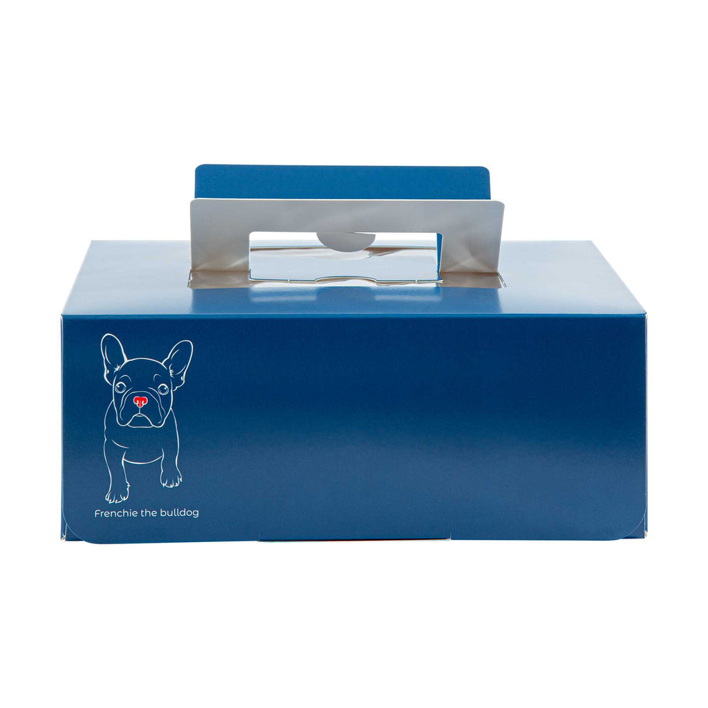 Cater Tek Square Frenchie Paper Cake / Take Out Container - with Pop-Up Handle, Window - 9" x 9" x 3 1/2" - 50 count box