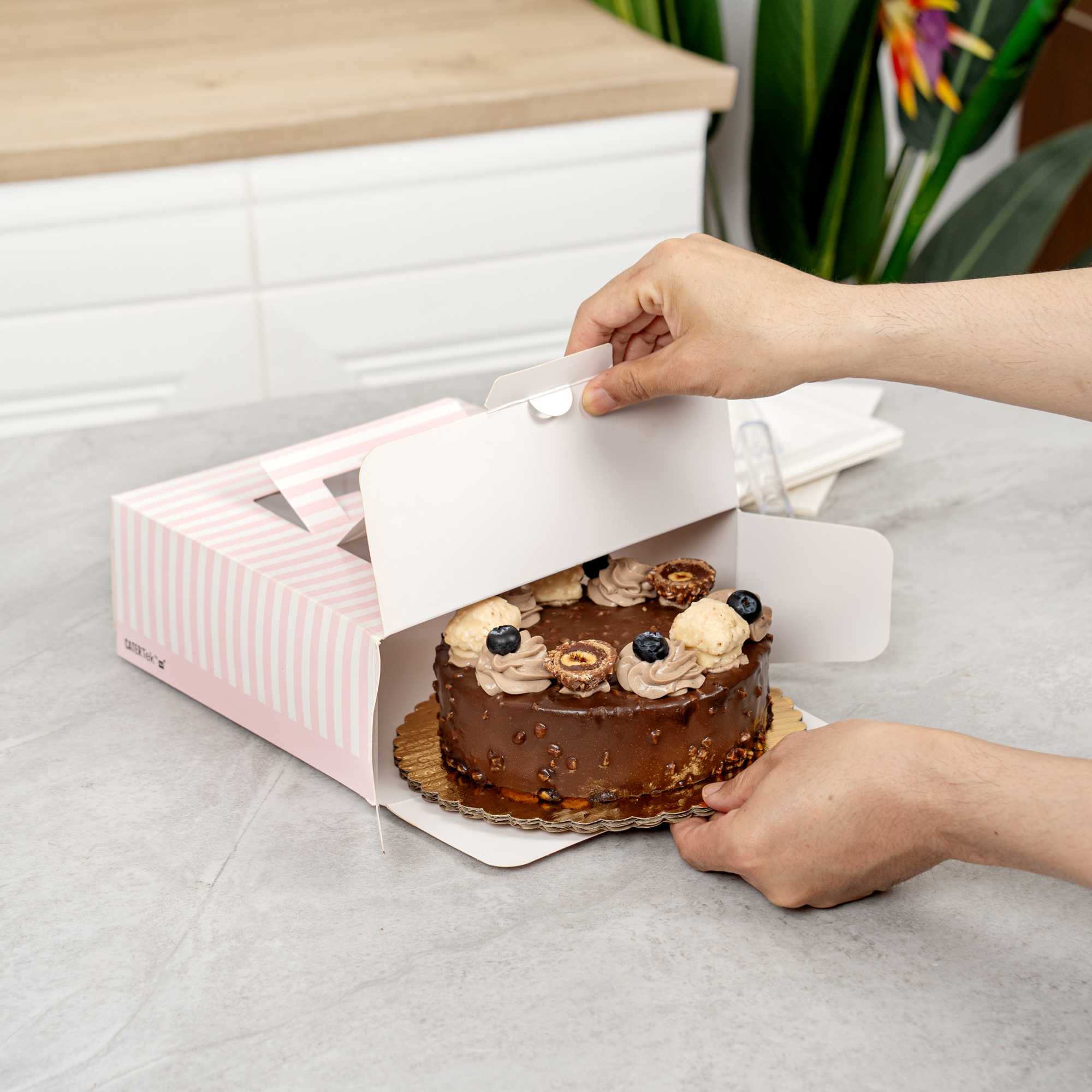 Cater Tek Square Pink and White Stripe Paper Cake / Take Out Container - with Pop-Up Handle, Window - 9" x 9" x 3 1/2" - 50 count box