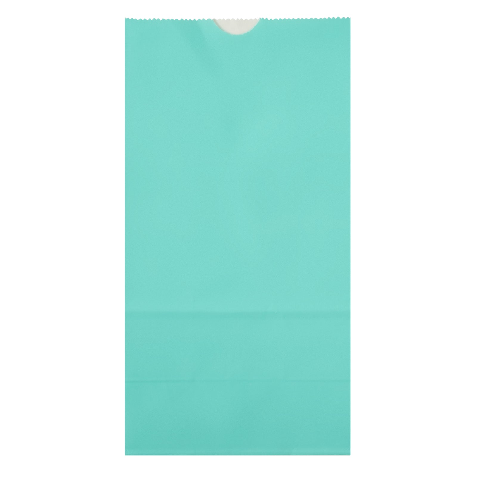 Bag Tek Turquoise Paper Bag - 4 lb - 5" x 3 1/4" x 9 1/2" - 100 count box