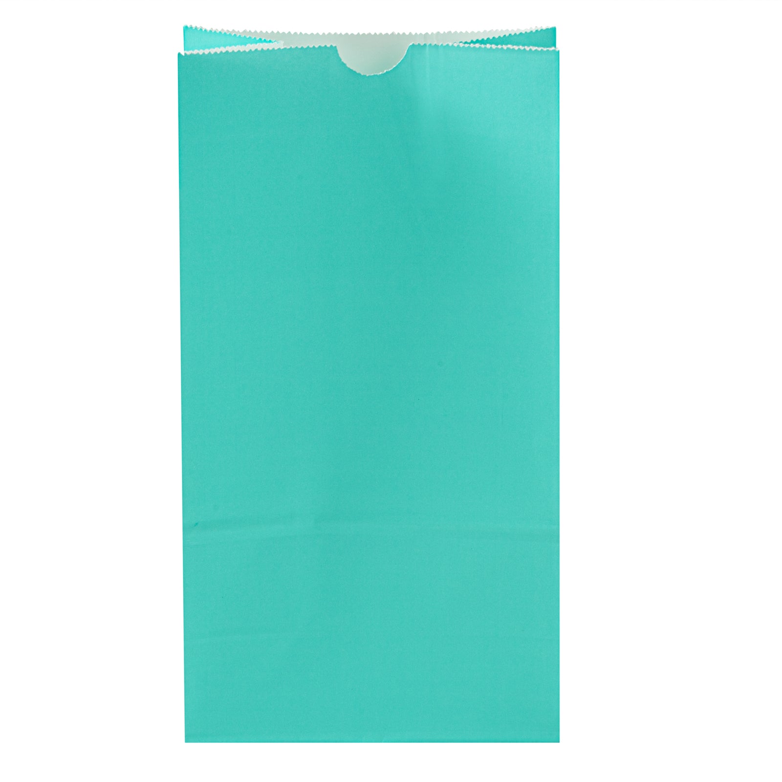 Bag Tek Turquoise Paper Bag - 6 lb - 6" x 3 1/2" x 10 3/4" - 100 count box