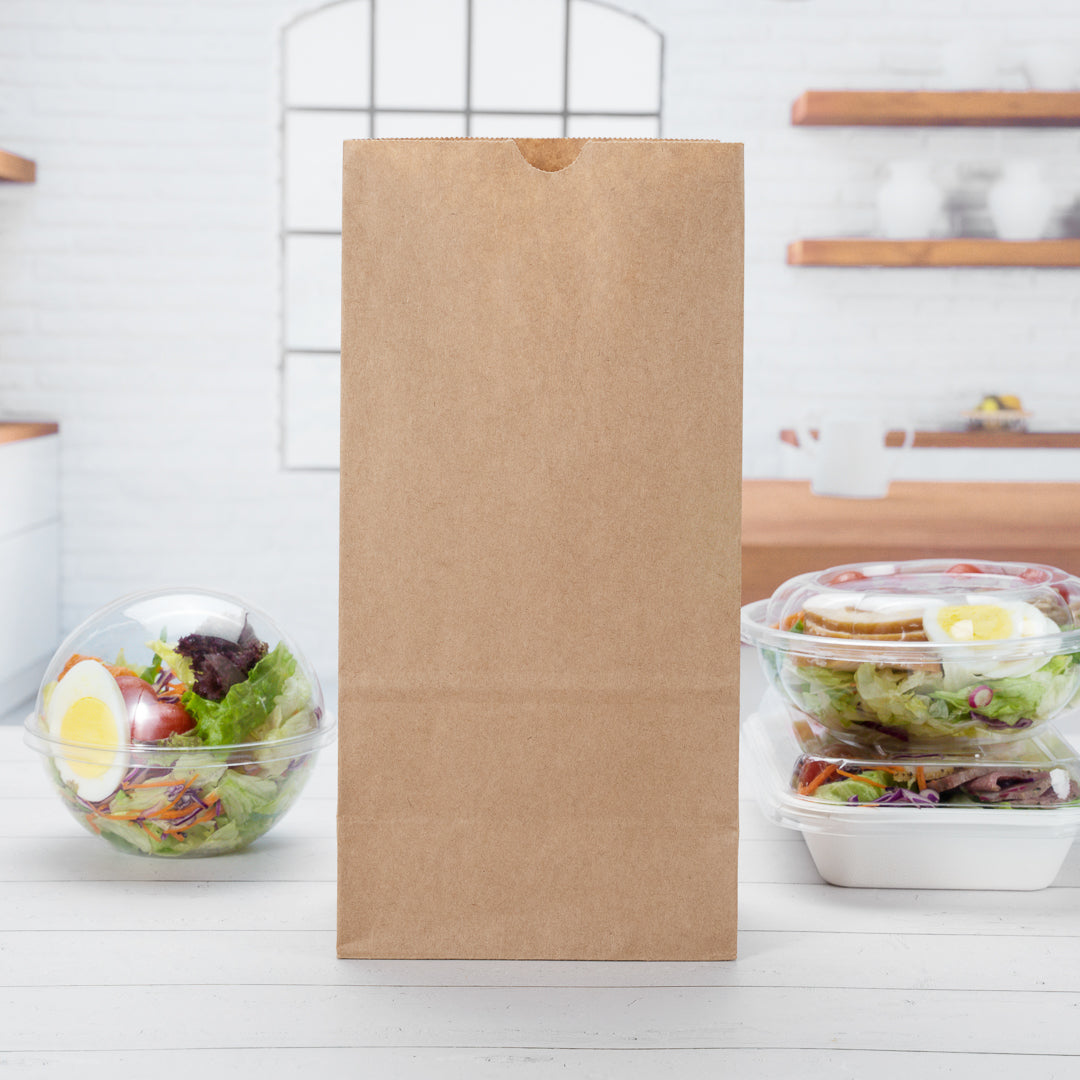 Bag Tek Kraft Paper Bag - 8 lb - 6" x 4" x 11 3/4" - 100 count box